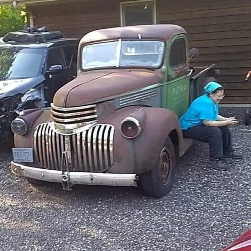 wildroselib.bsky.social's profile picture