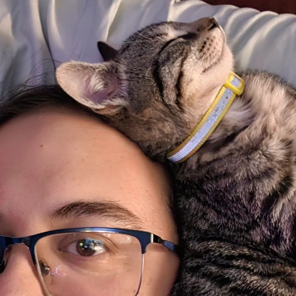 lususnaturae0.bsky.social's profile picture