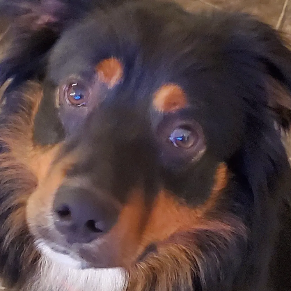 thatvtguy.bsky.social's profile picture