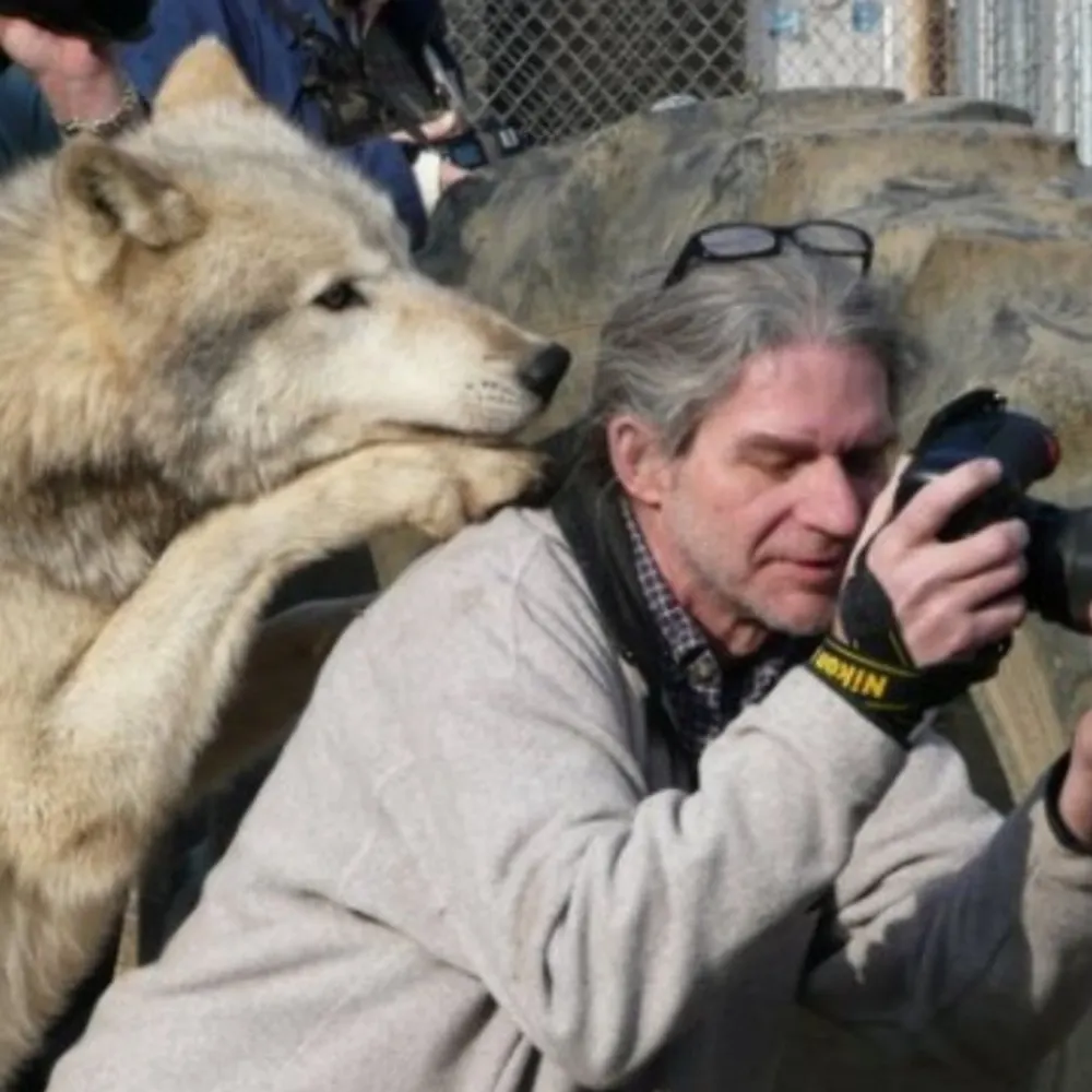 jeffmccurry.bsky.social's profile picture