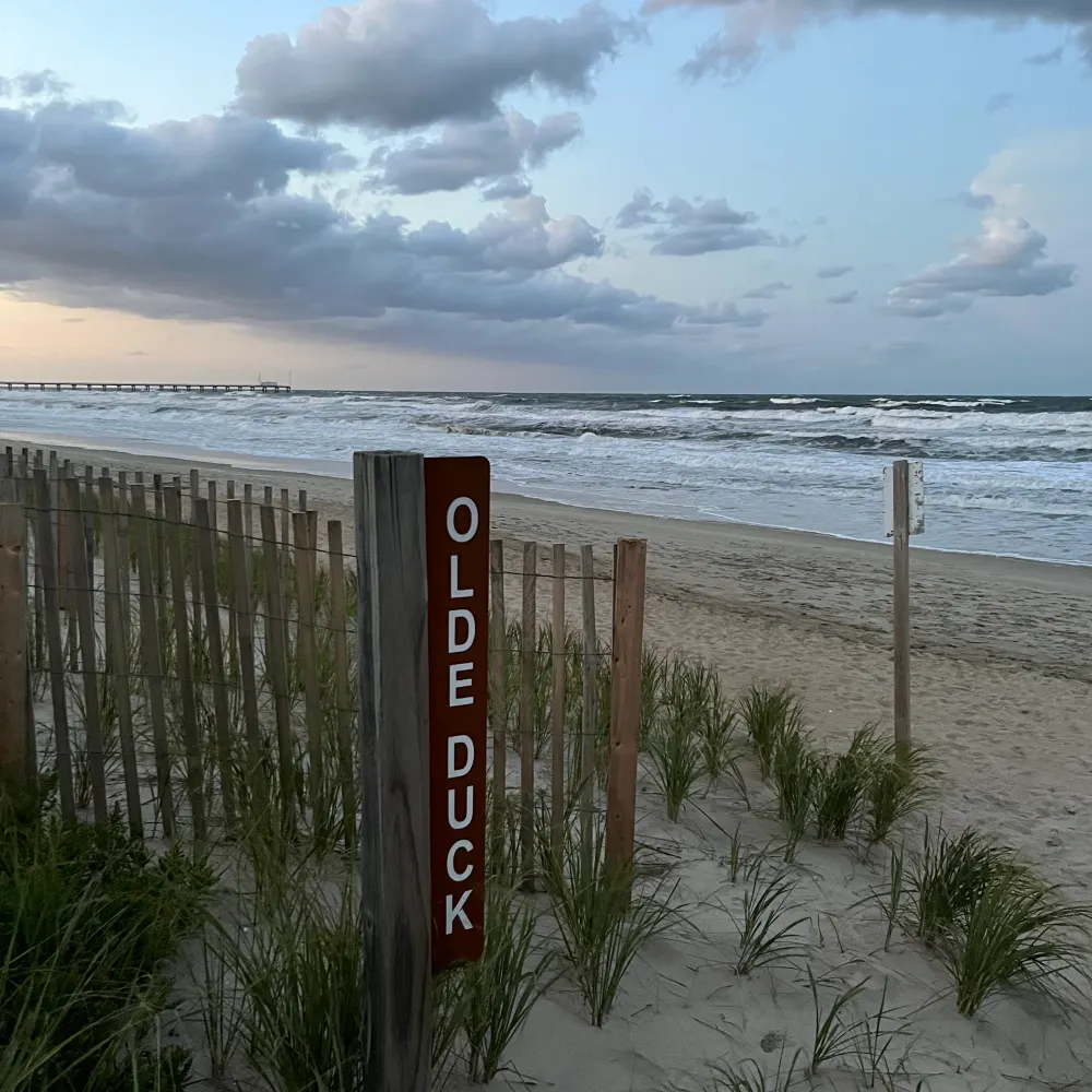 typecast2.bsky.social's profile picture