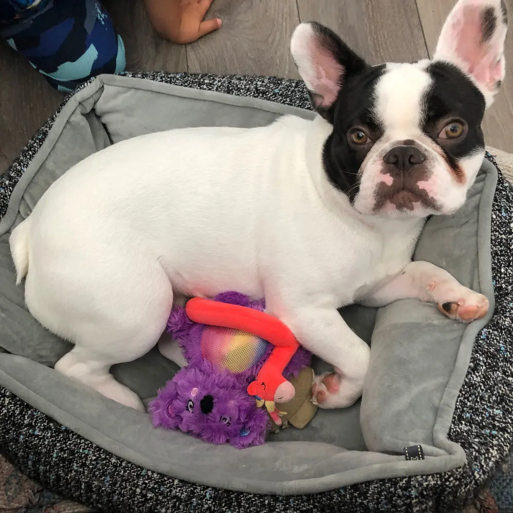 sunnynicole76.bsky.social's profile picture