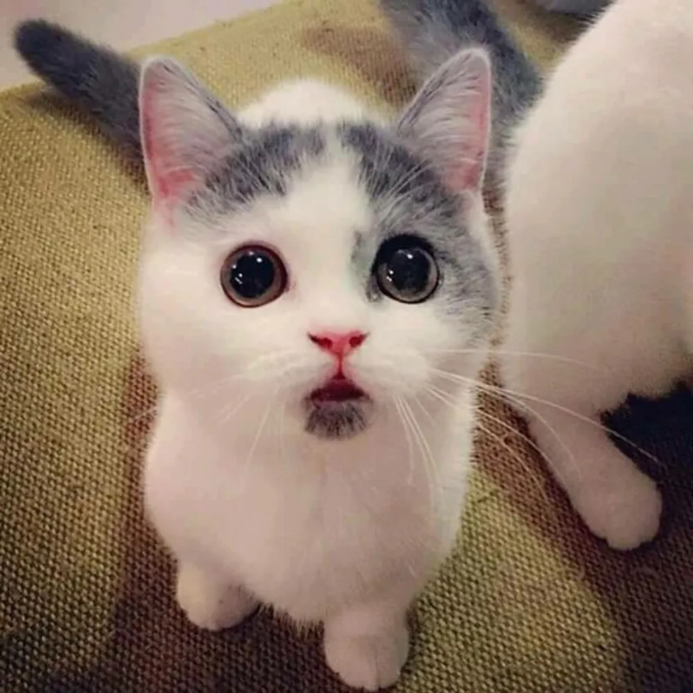 christophermac.bsky.social's profile picture