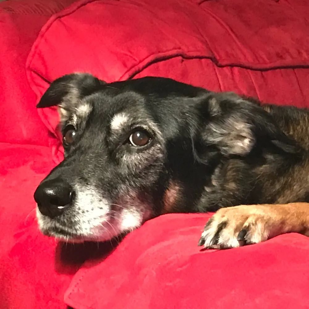 jjurek.bsky.social's profile picture