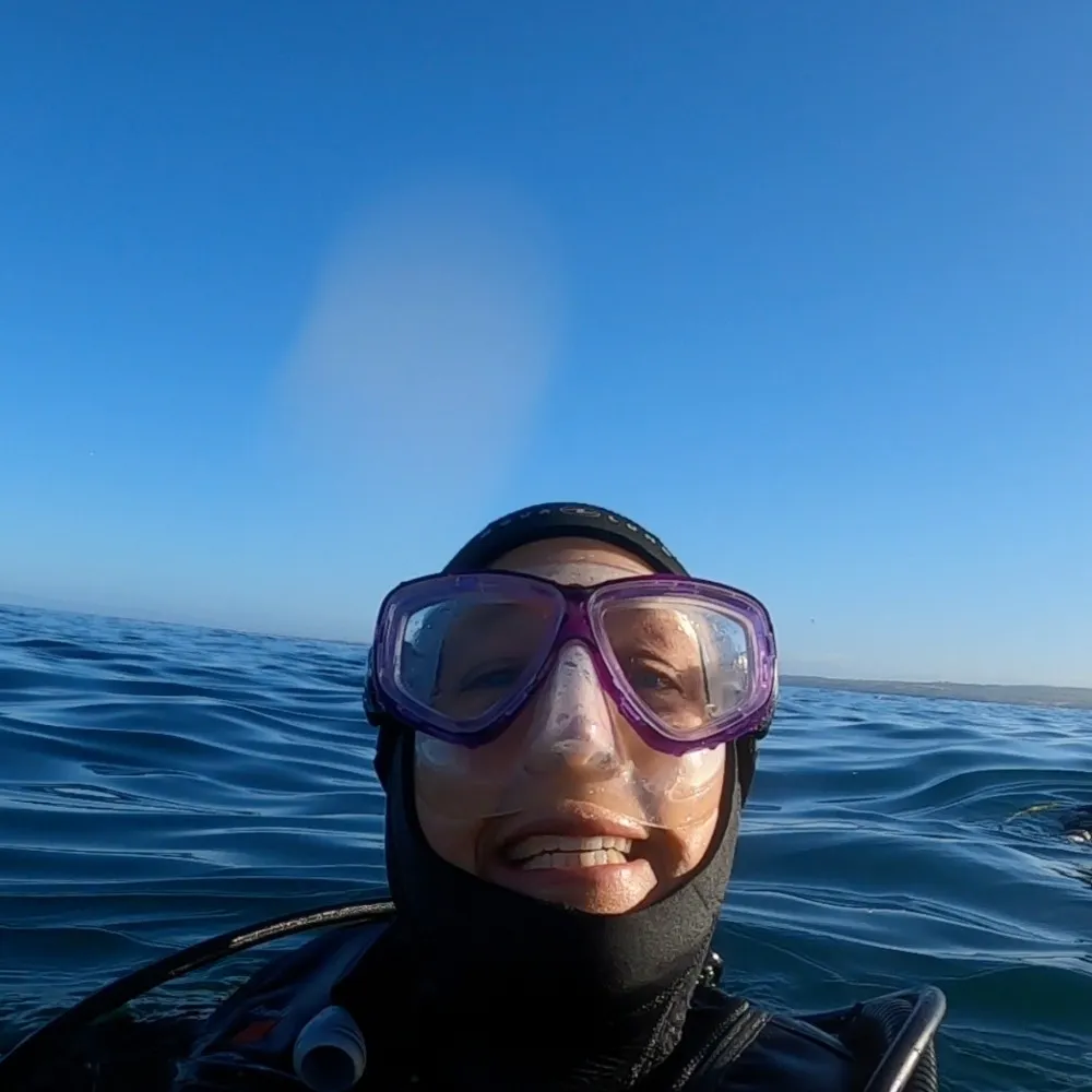 lindajudah.bsky.social's profile picture