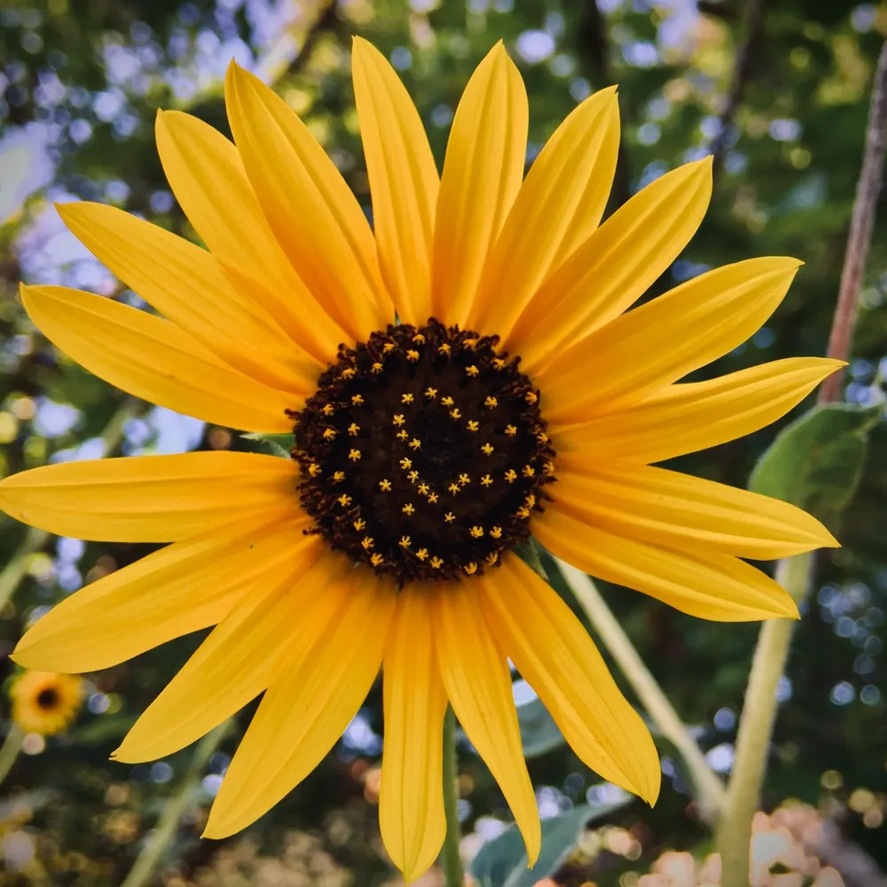 vinekey.bsky.social's profile picture