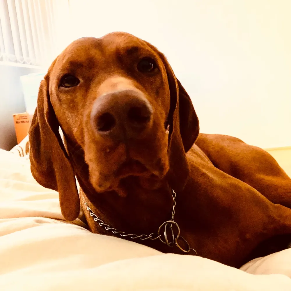 bluesun99.bsky.social's profile picture