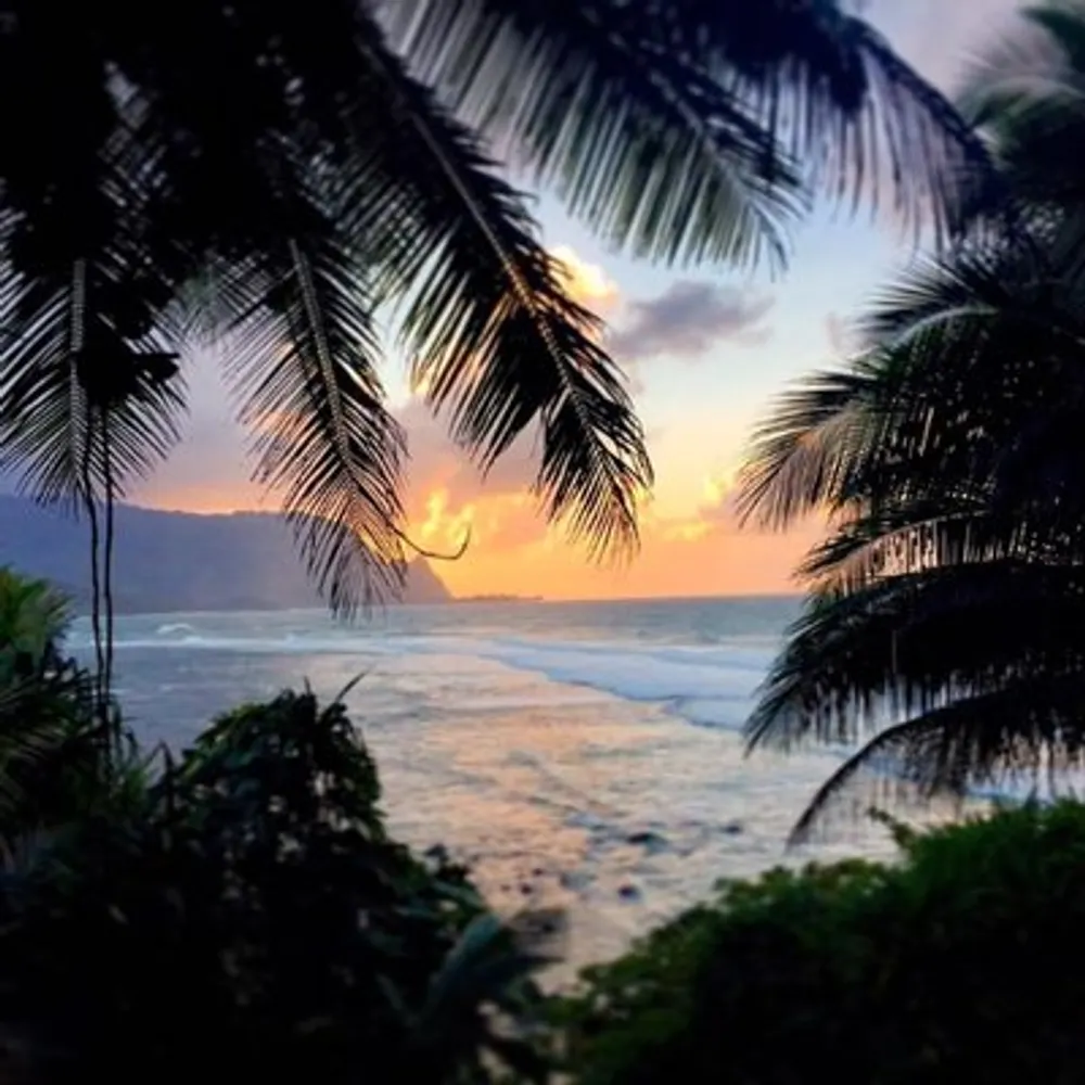 charlenedev.bsky.social's profile picture