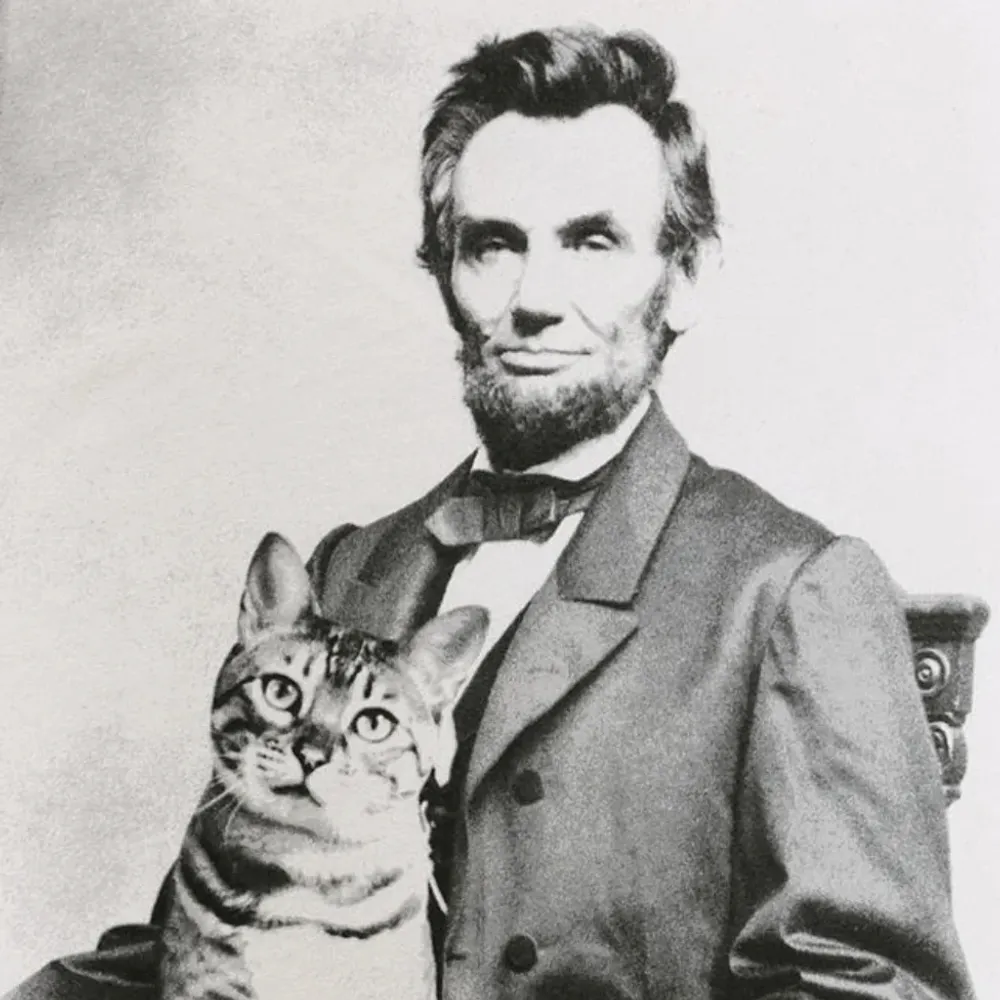 spiritualized67.bsky.social's profile picture