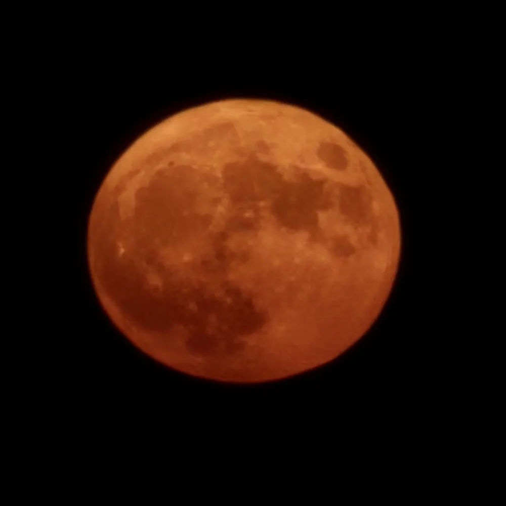 jj-14.bsky.social's profile picture