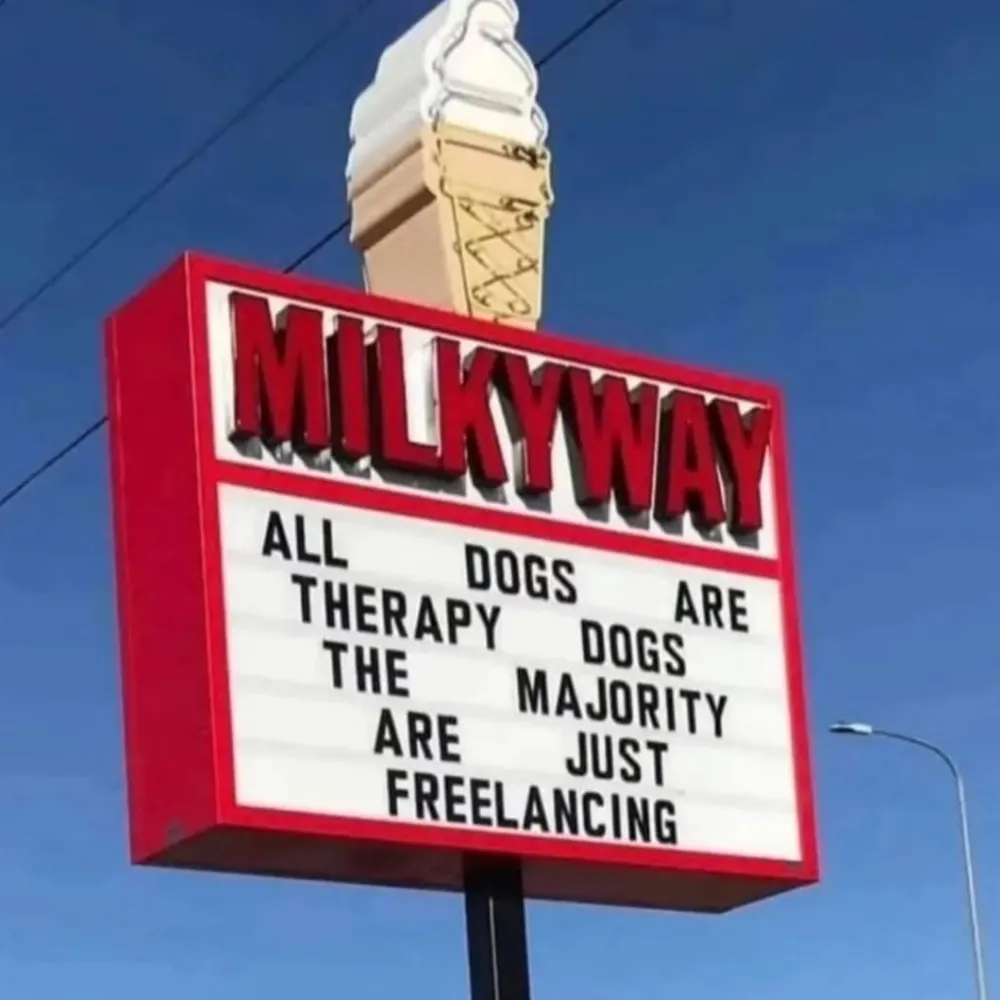 davenewb.bsky.social's profile picture