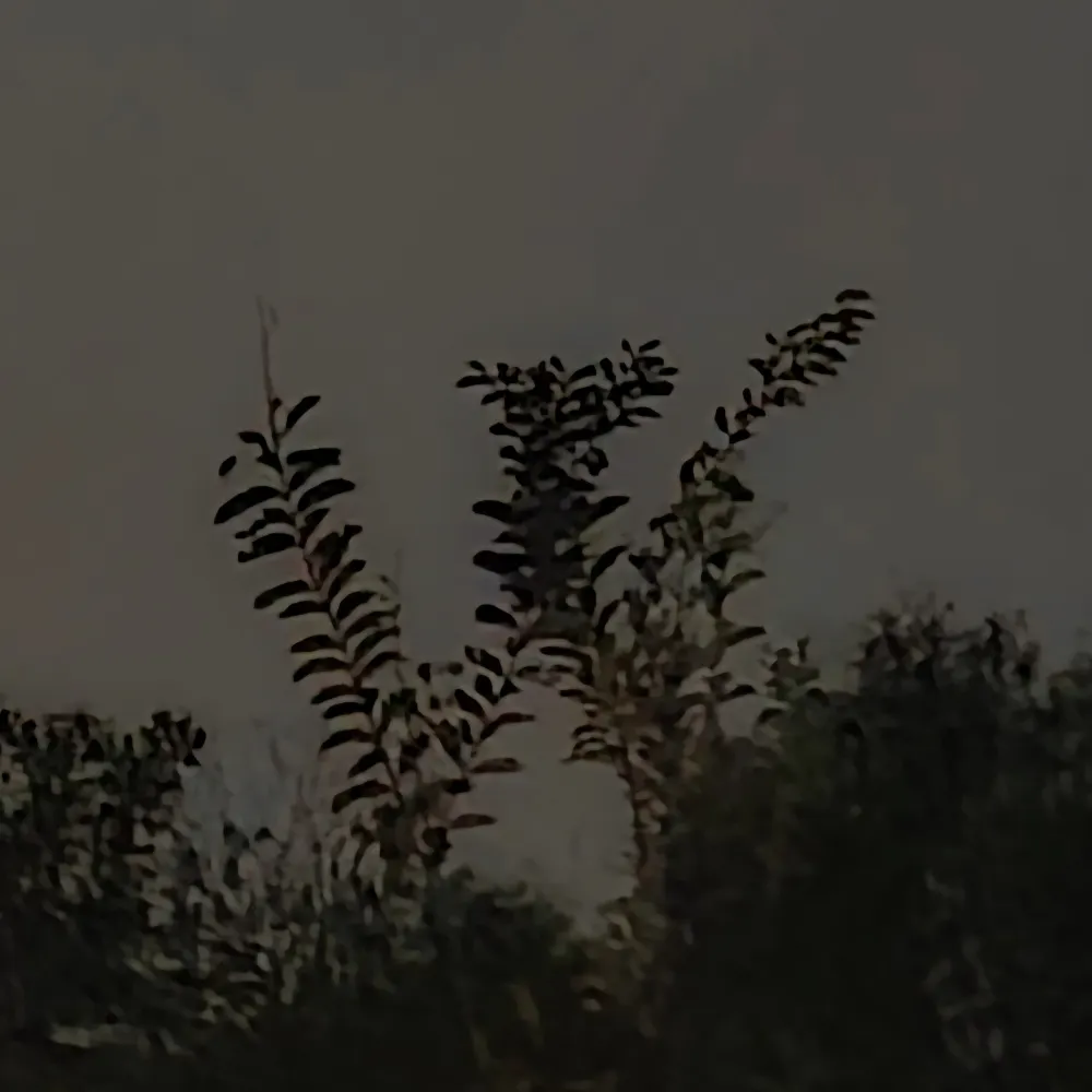 everyday-bill.bsky.social's profile picture