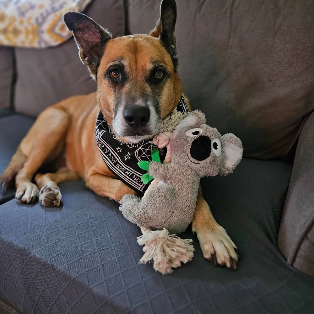 freya0610.bsky.social's profile picture