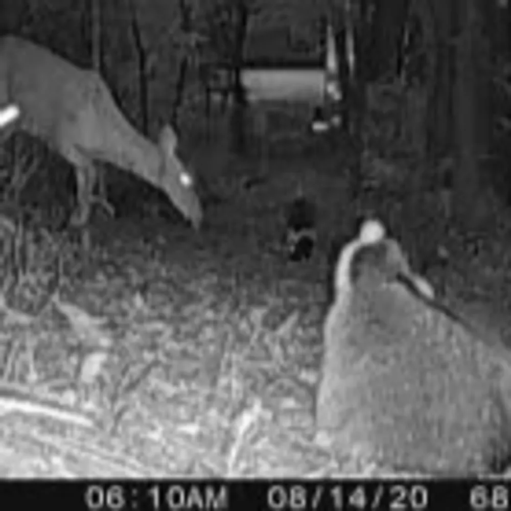 bkersavage.bsky.social's profile picture