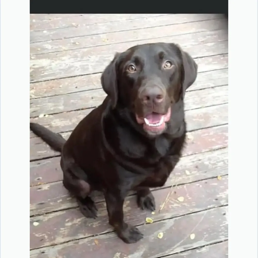 justjonesy.bsky.social's profile picture