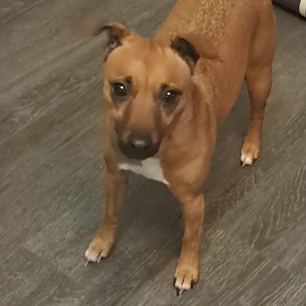 katherine-kobold.bsky.social's profile picture