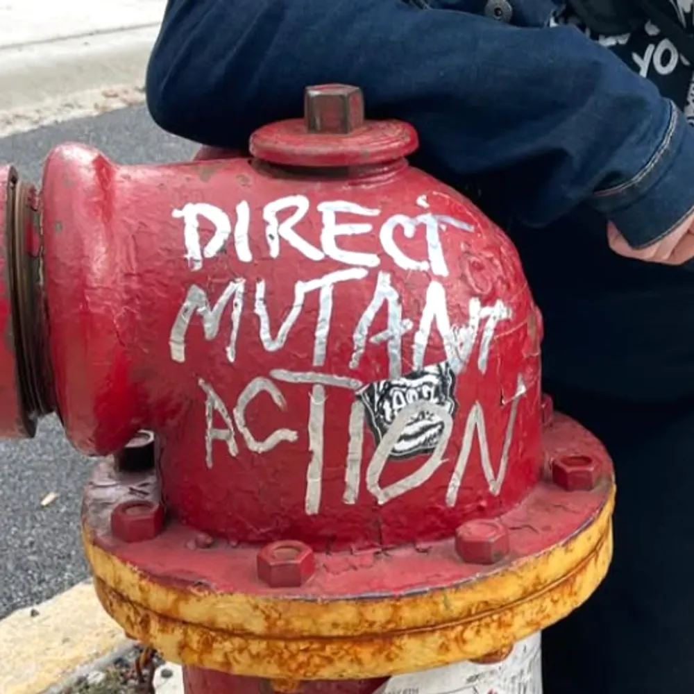 thatguywasfly.bsky.social's profile picture