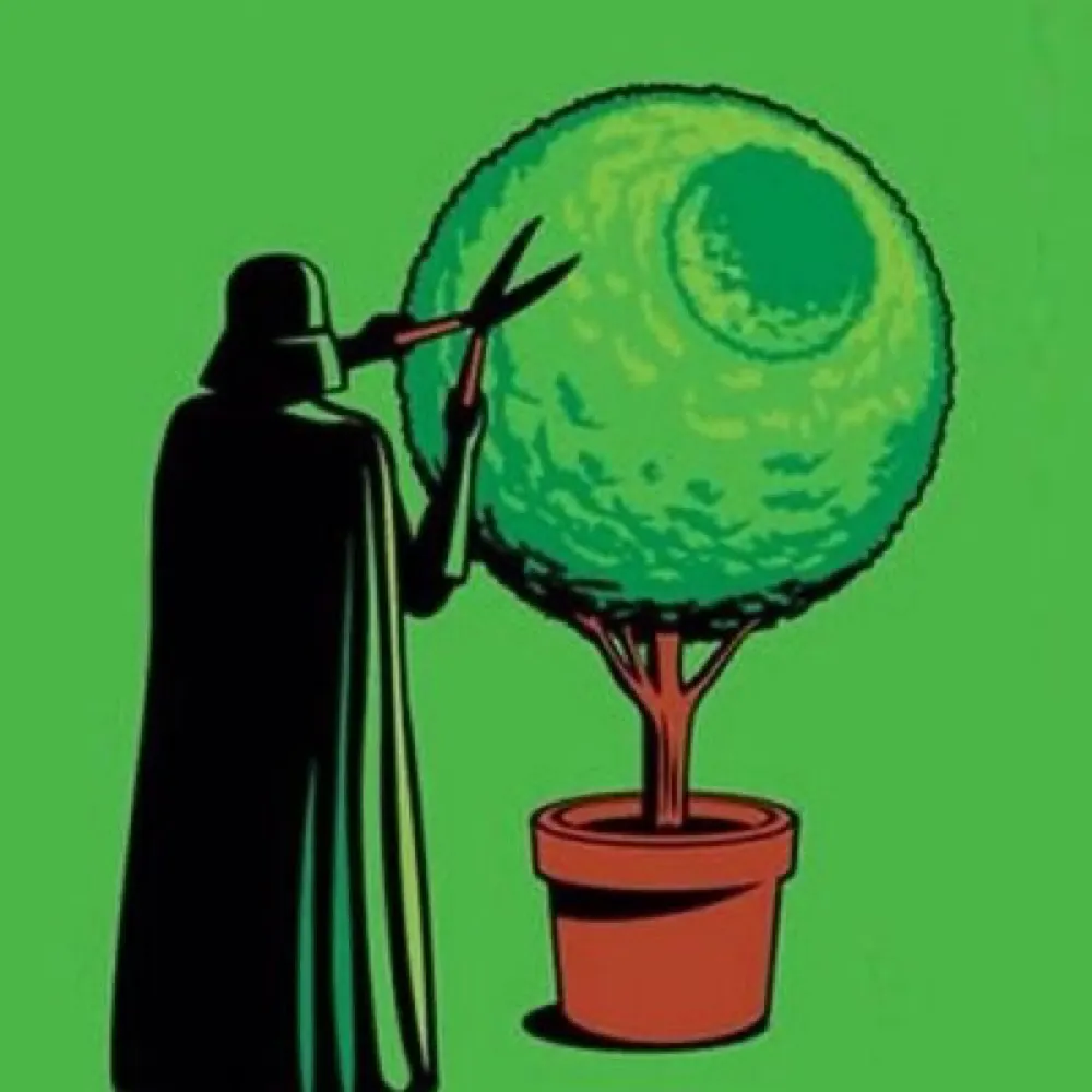 quijohn.bsky.social's profile picture