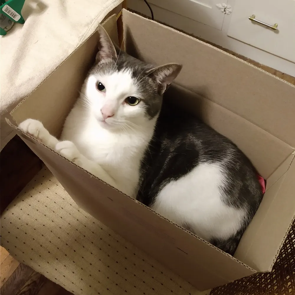 artist12.bsky.social's profile picture