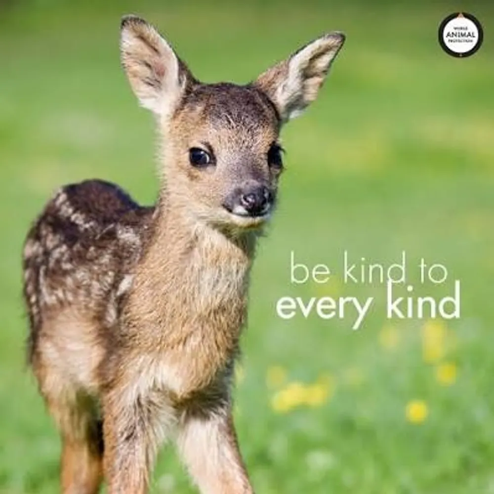 pinwheel777.bsky.social's profile picture