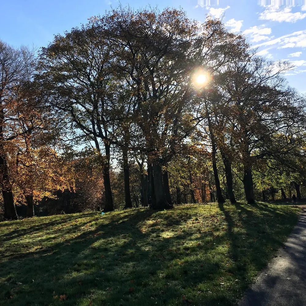 helenm40.bsky.social's profile picture