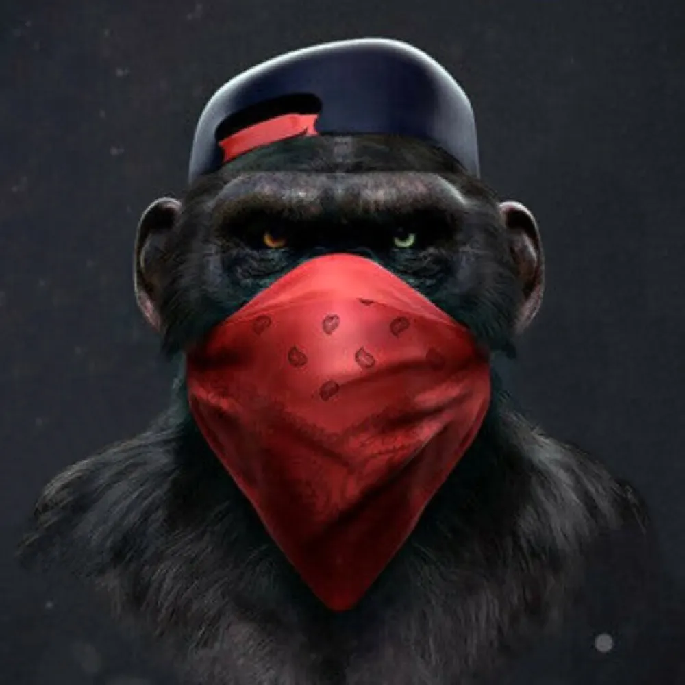 socius.bsky.social's profile picture