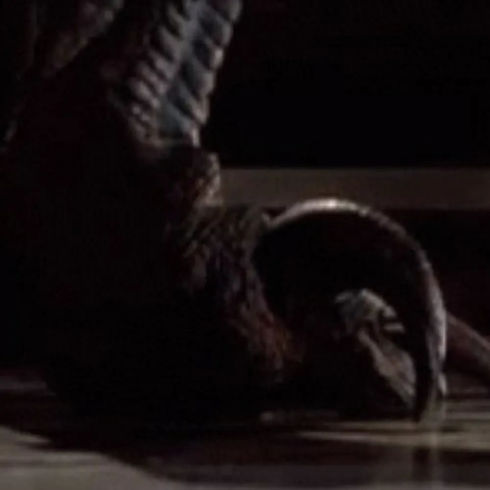 blueechobeta.bsky.social's profile picture