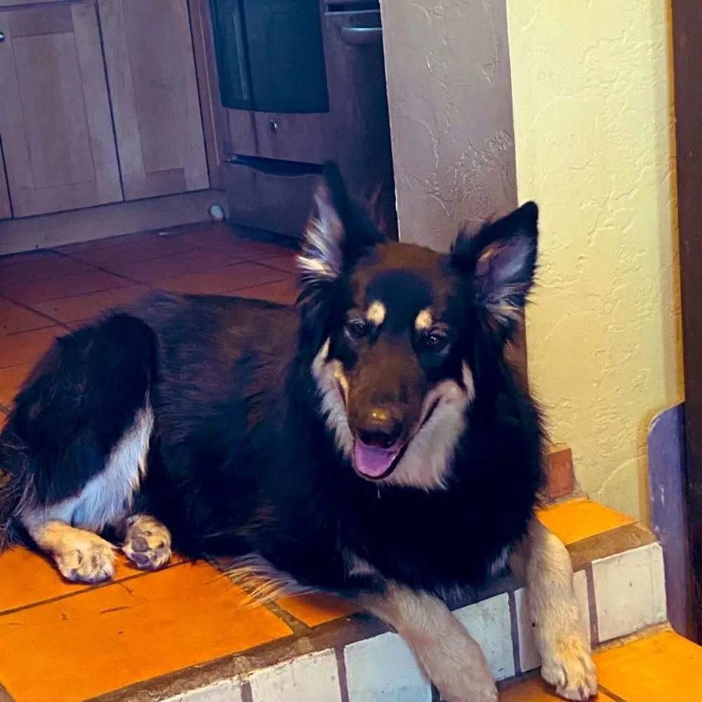 phred369.bsky.social's profile picture