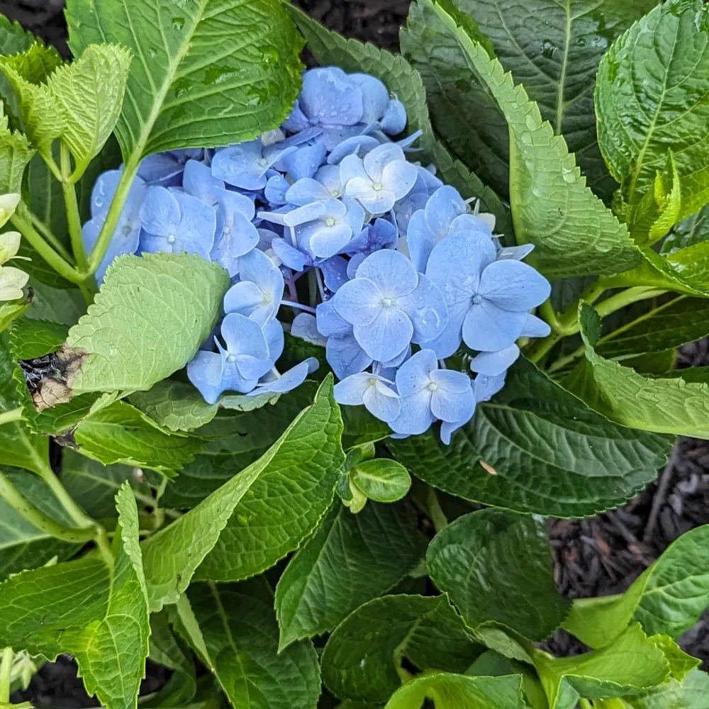 tmh145.bsky.social's profile picture