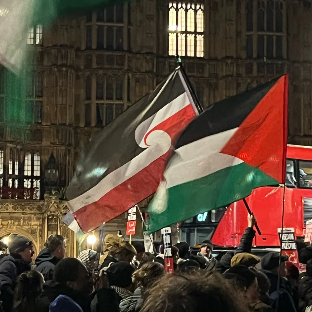 marabara.bsky.social's profile picture