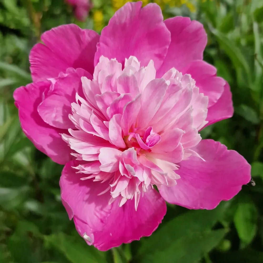 ninahei.bsky.social's profile picture