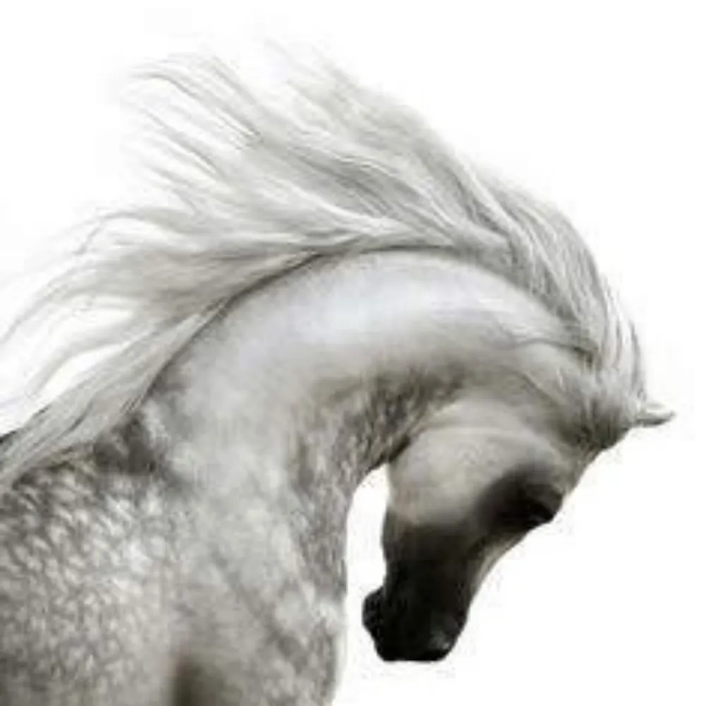 herdleader1.bsky.social's profile picture