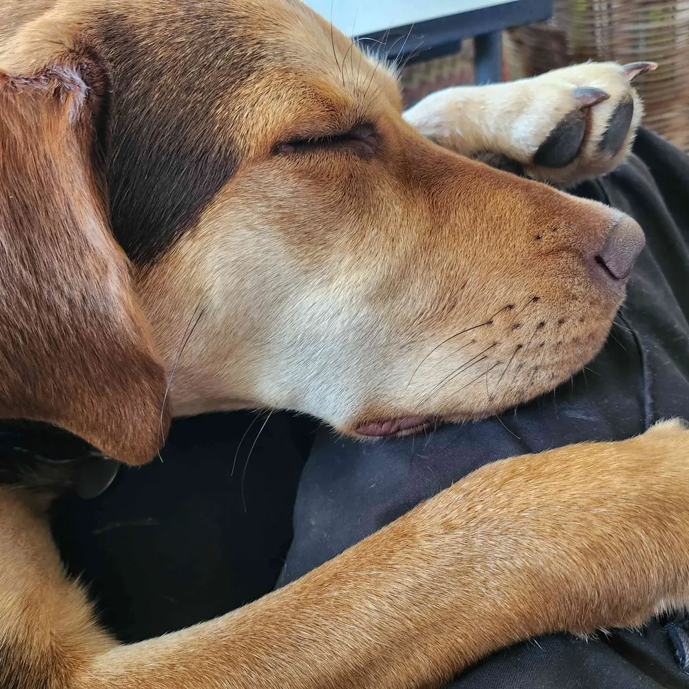 dunnersmads.bsky.social's profile picture