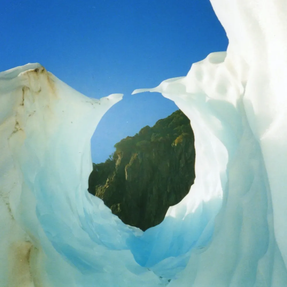 beelbeebub.bsky.social's profile picture