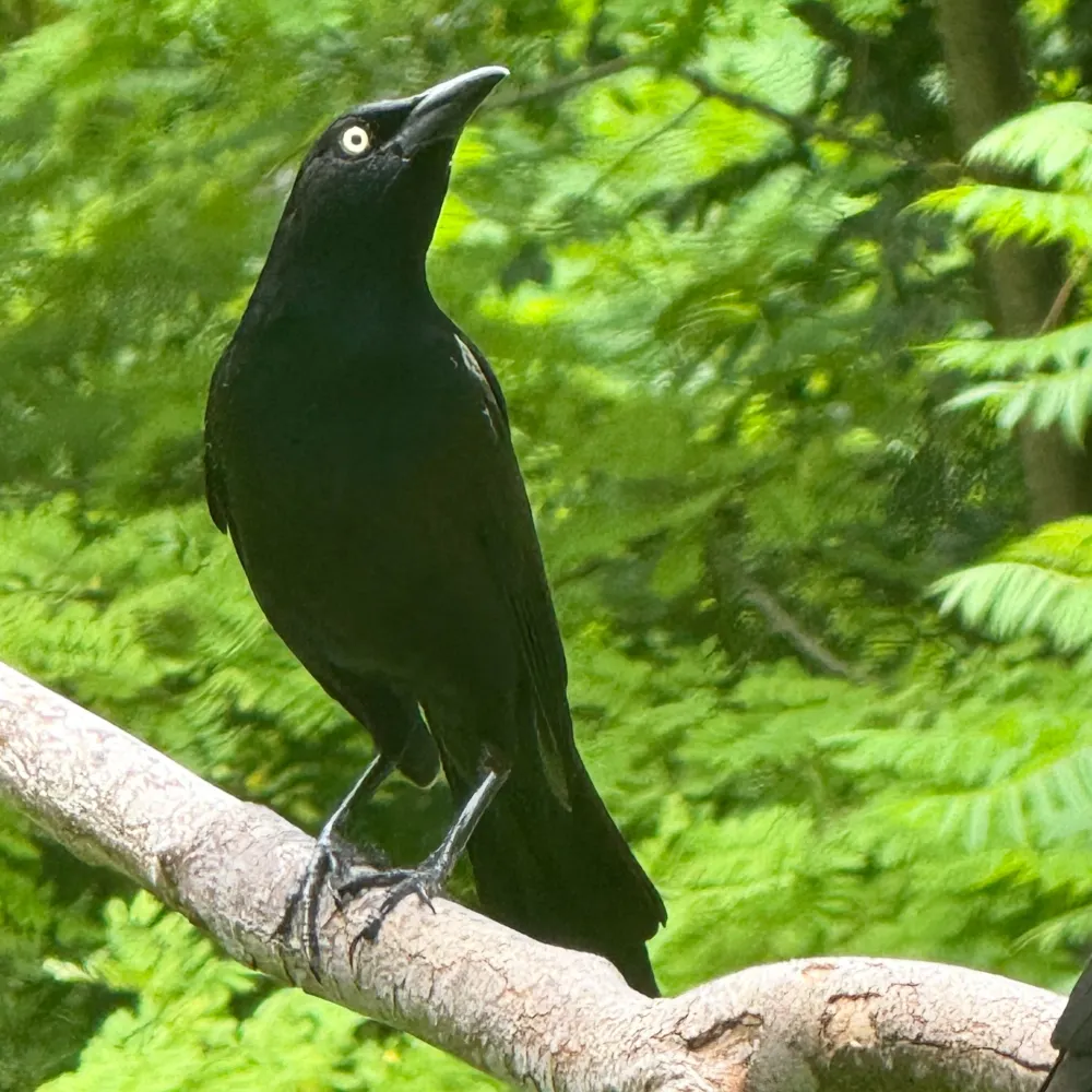 tart-it-up.bsky.social's profile picture