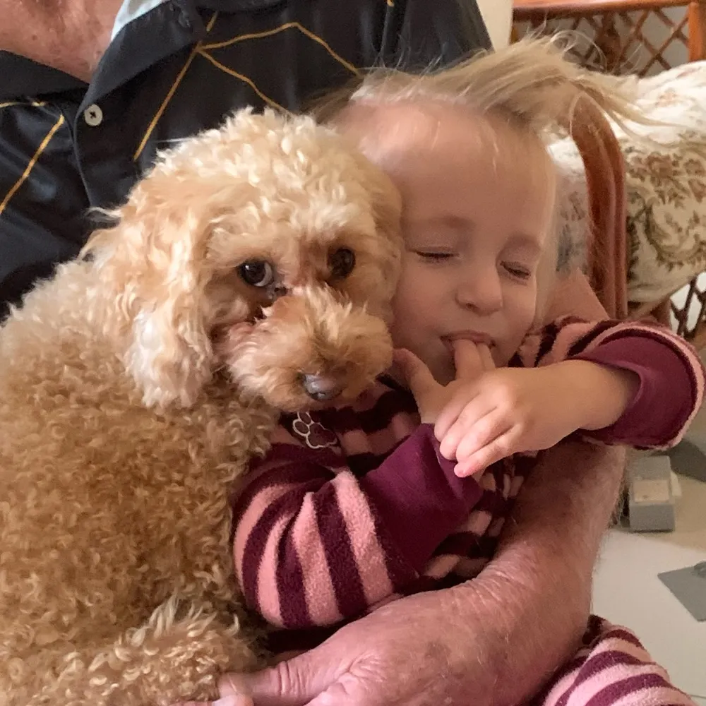 nanasmith.bsky.social's profile picture