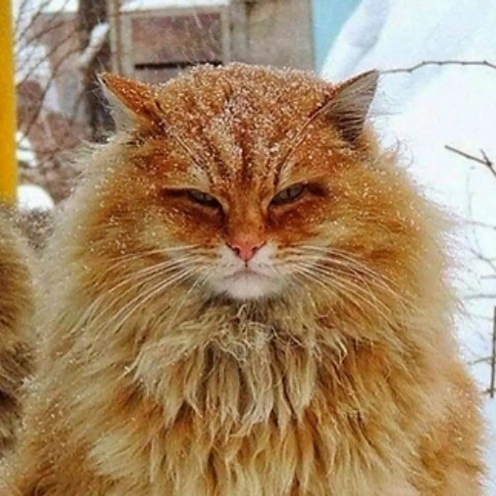 gunpervert.bsky.social's profile picture