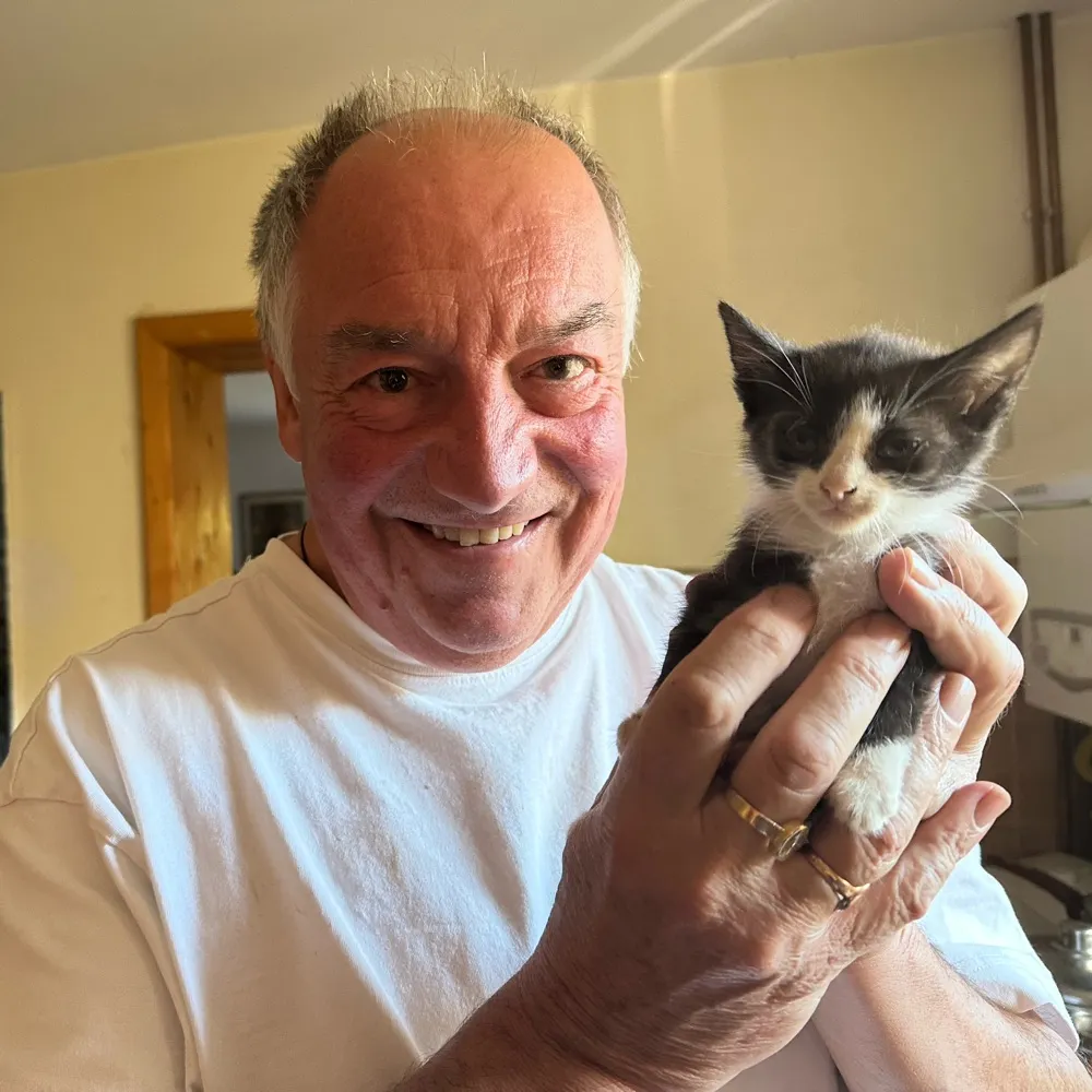 linusd.bsky.social's profile picture