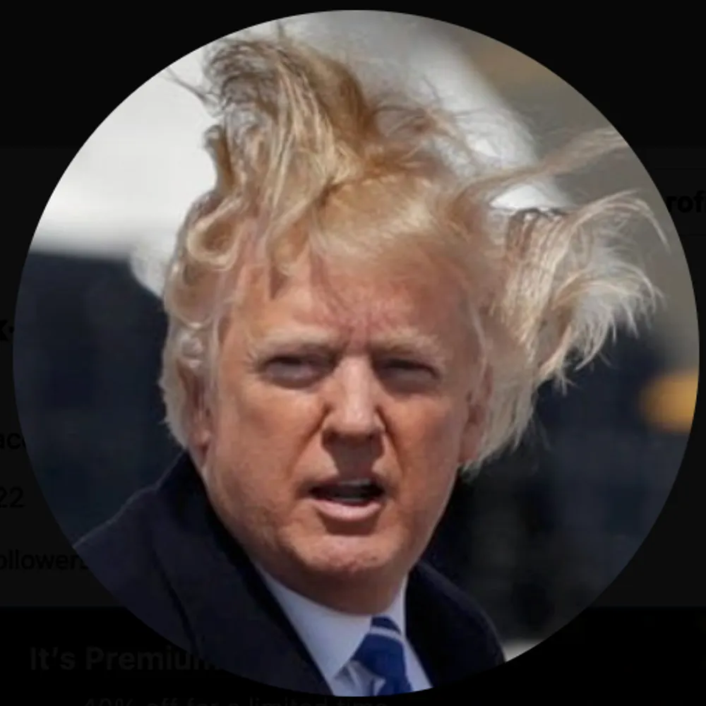 hairfuror1901.bsky.social's profile picture