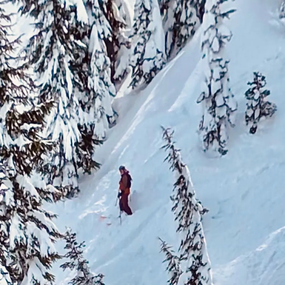 shredybettymtb.bsky.social's profile picture