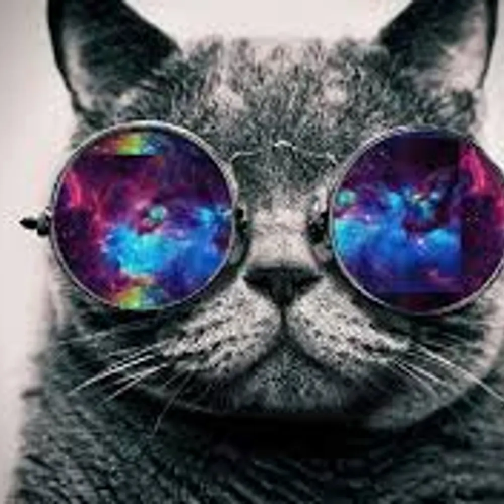 spudmonkey.bsky.social's profile picture