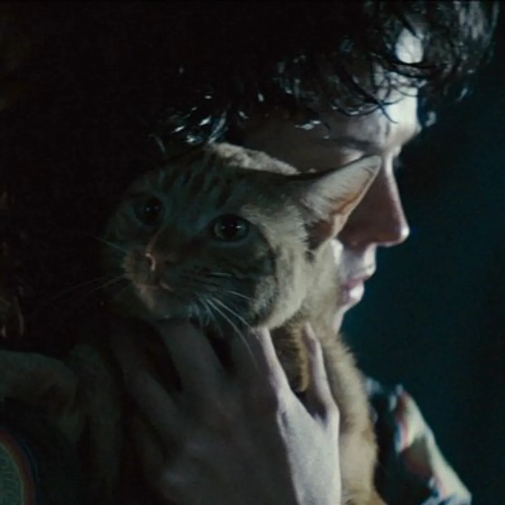 ashvent.bsky.social's profile picture