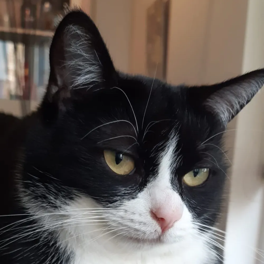 karencamping.bsky.social's profile picture