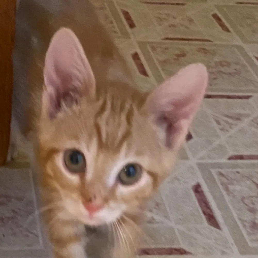 irongranny.bsky.social's profile picture