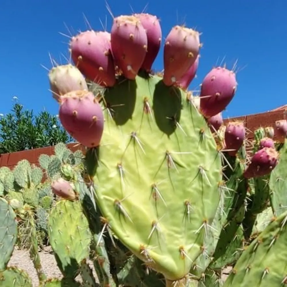 g85742.bsky.social's profile picture