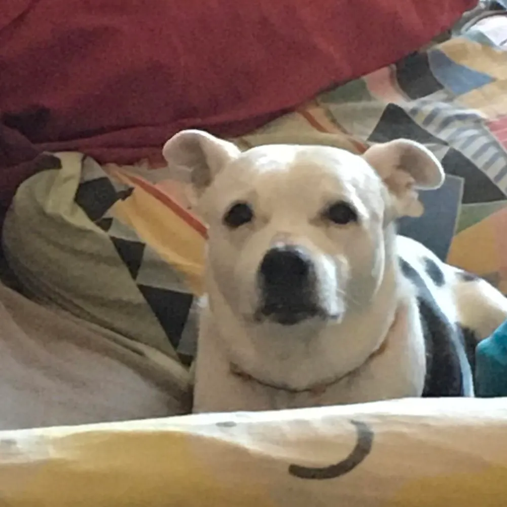 kennyford.bsky.social's profile picture