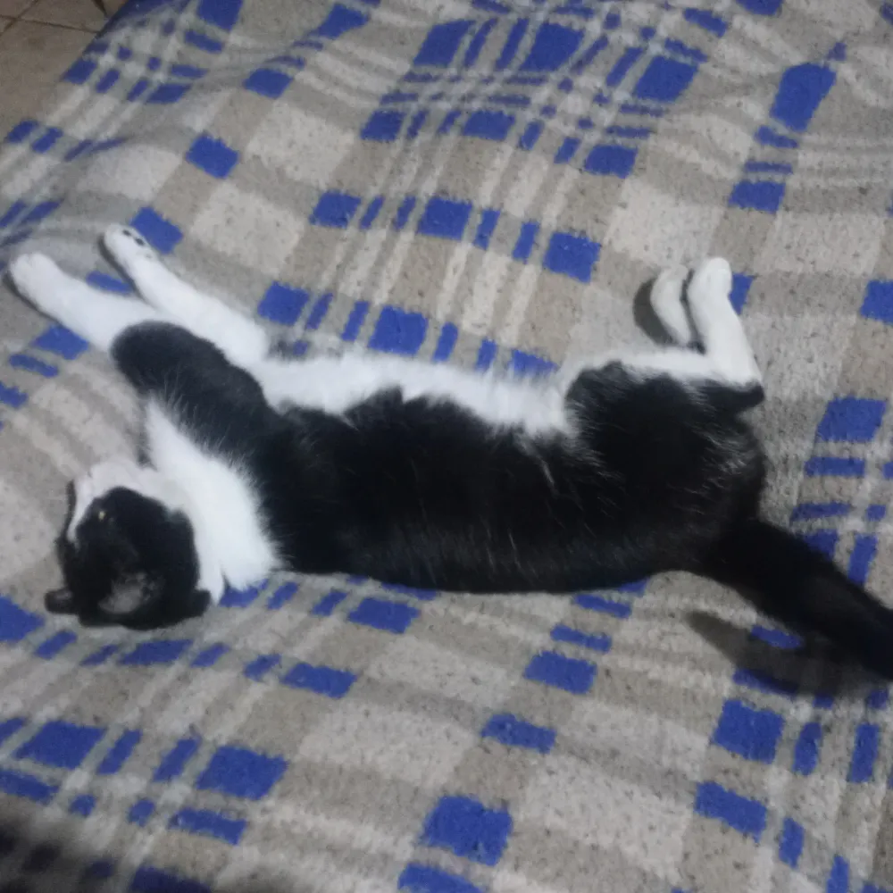 gonzaegonza91.bsky.social's profile picture