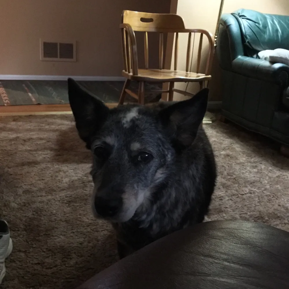 deuce6078.bsky.social's profile picture