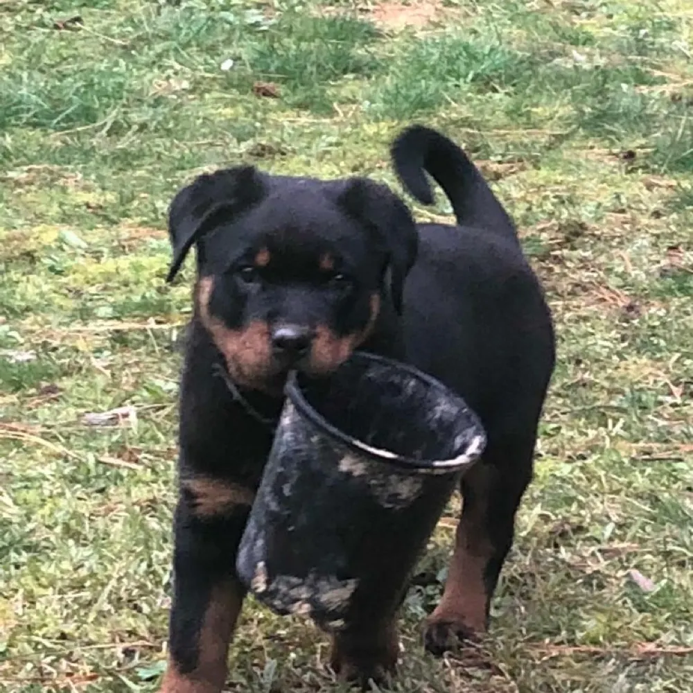 tedtratt.bsky.social's profile picture