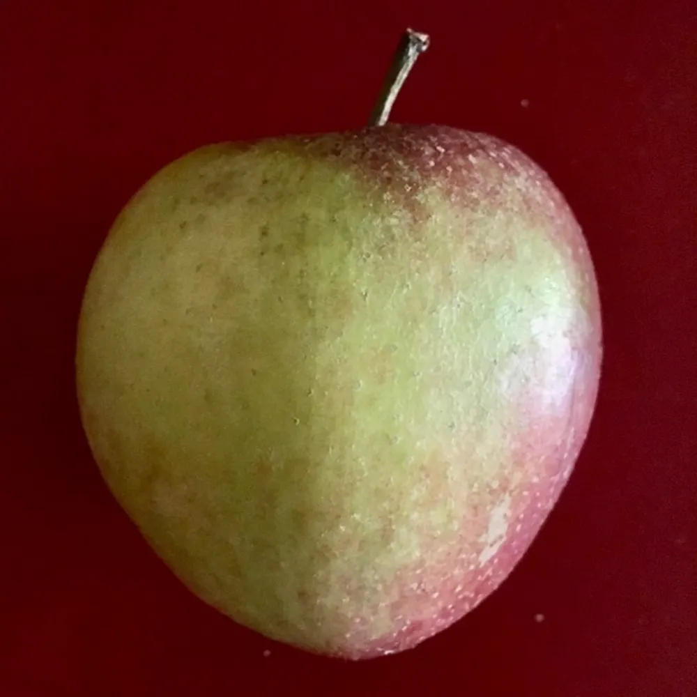 katgruen.bsky.social's profile picture